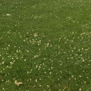 Meet your Posher, Alexa